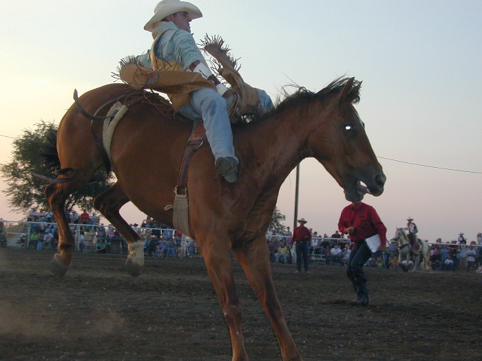 JD Poer bareback riding